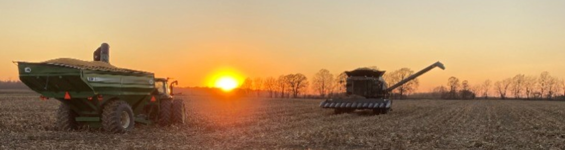 Farm at sunset